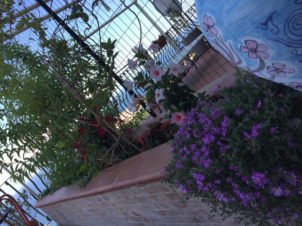 B&B La Terrazza Sul Mare Taormina Exteriör bild
